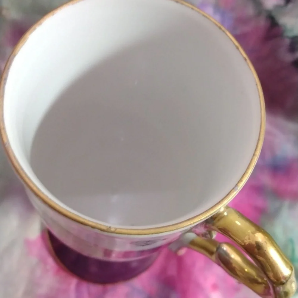 Unique Vintage Inarco cup & saucer